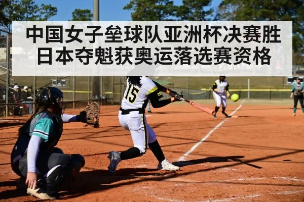 women's softball pitcher windup