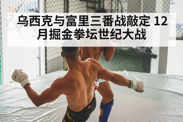 乌西克与富里三番战敲定 12月掘金拳坛世纪大战