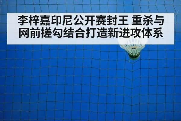 badminton net shot