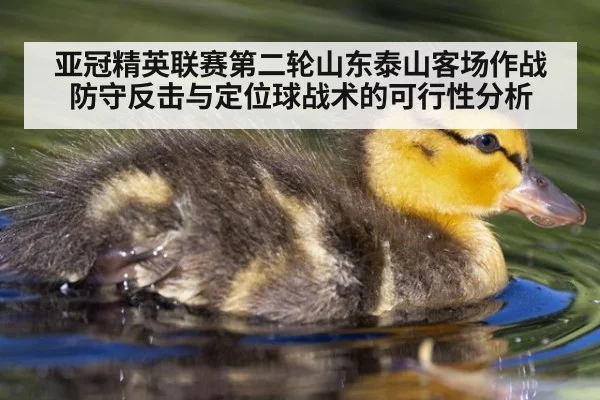 亚冠精英联赛第二轮山东泰山客场作战 防守反击与定位球战术的可行性分析