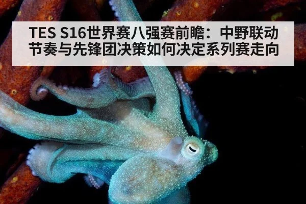 TES S16世界赛八强赛前瞻:中野联动节奏与先锋团决策如何决定系列赛走向